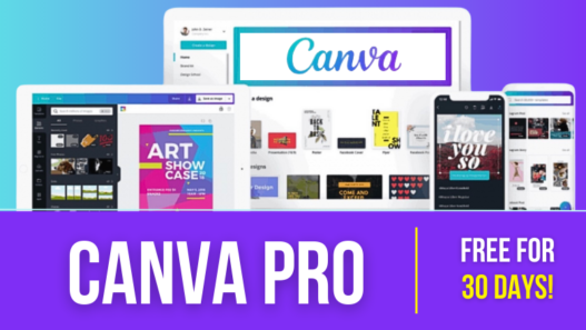 Get an activated Canva Pro account now for 31 days for free